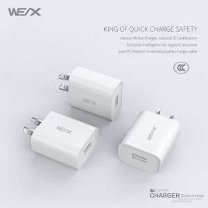 WEX - V8 reisoplader, lader voor in de muur, stroomadapter