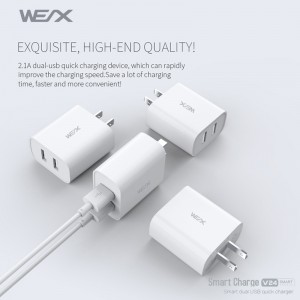 WEX - V24 dual usb reisoplader, muurlader, voedingsadapter